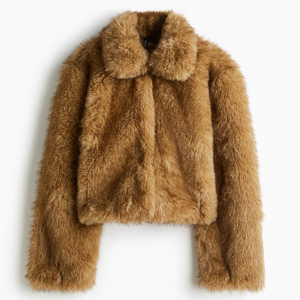 H&M Cropped Fluffy Jacket